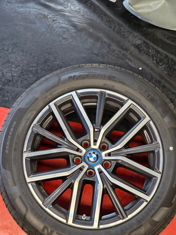 Protection pour jantes de BMW électrique neuve avec Alloygator vers Obernai 67